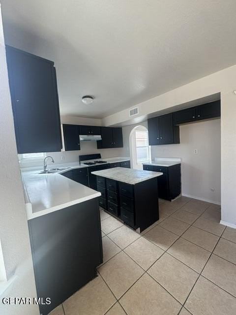 404 Desert Chicory St - Photo 6 of 32