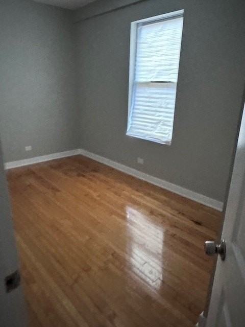 4117 S Albany Ave #2 - Photo 7 of 7