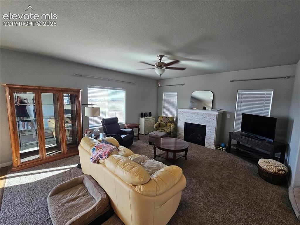 8127 Burl Wood Dr - Photo 4 of 22