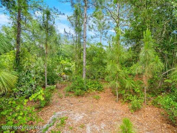 1261 Rainbow Rd Se - Photo 3 of 14