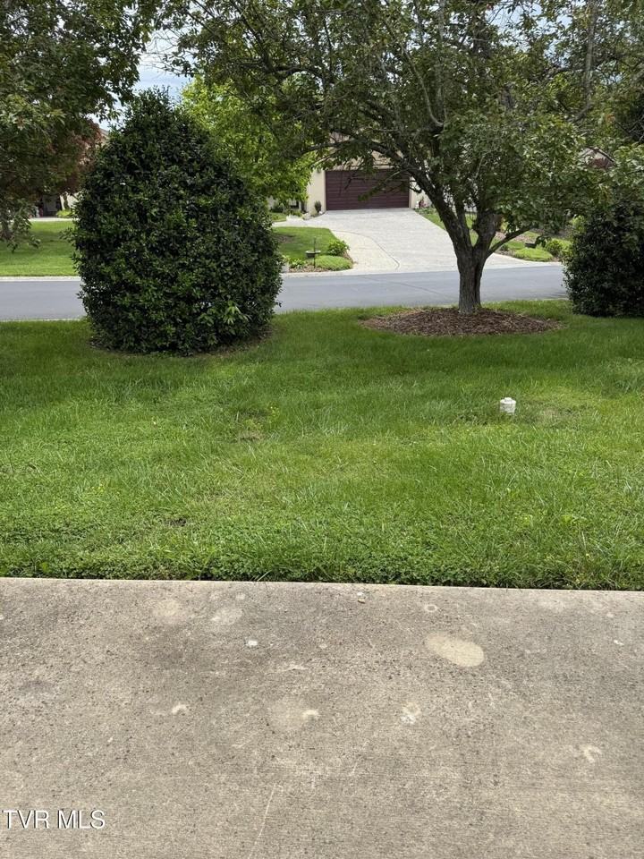 1900 Knob Creek Rd #82 - Photo 4 of 14