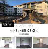 featured image of 4240 106 St Nw
