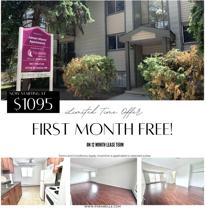 Jamen Manor - Photo 1 of 1