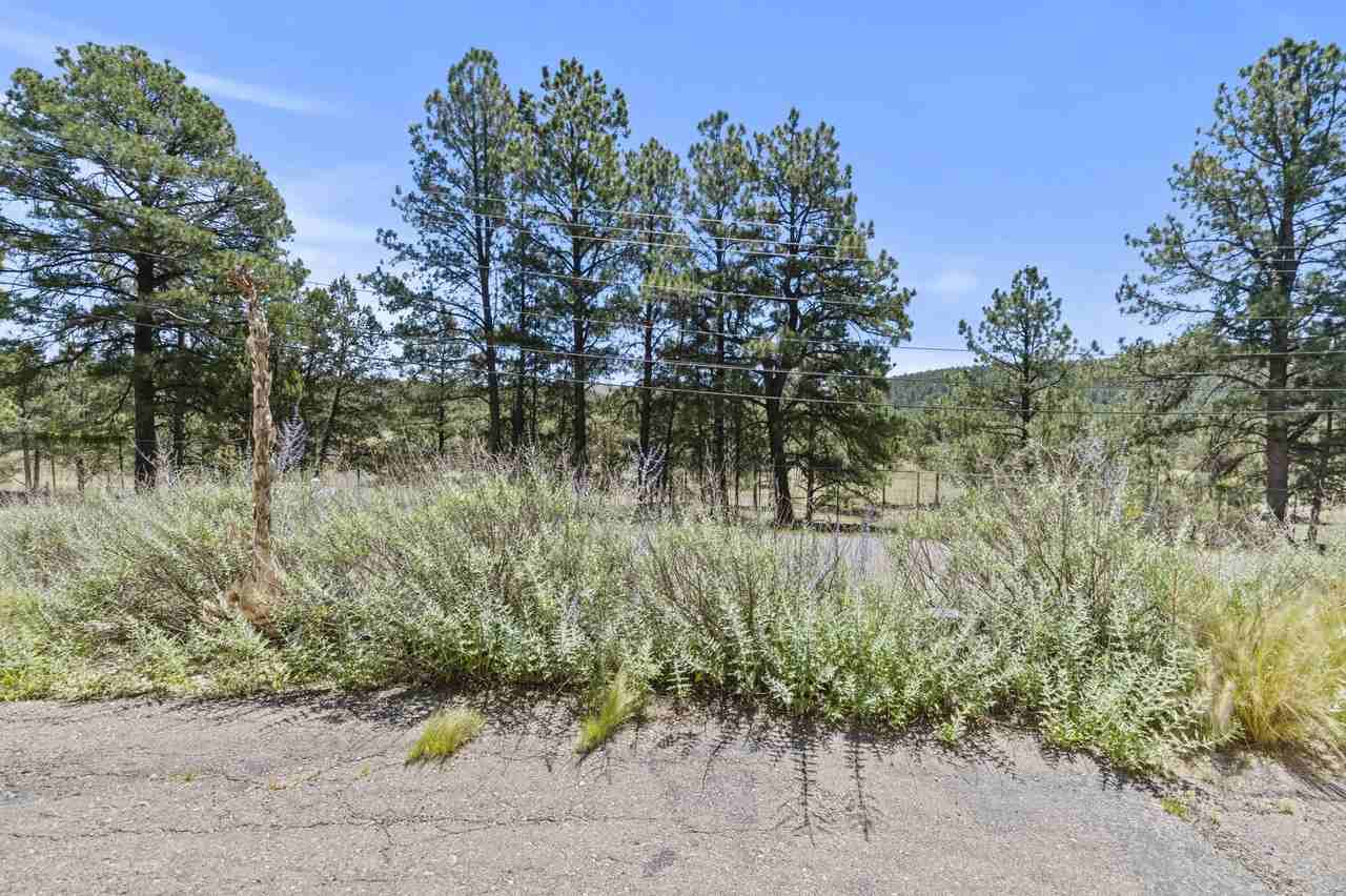 307 Heath Drive - Photo 5 of 50