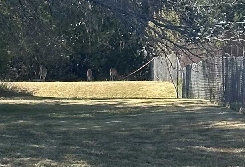 165 Armadillo Ln #B - Photo 2 of 23