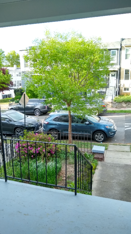 1121 Oates St Ne - Photo 3 of 29