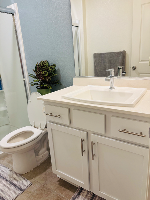 294 Zion Canyon Ct - Photo 2 of 7
