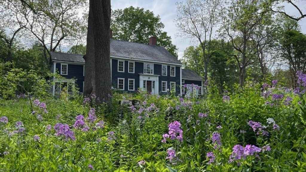 27 Bulkeley Rd #LEFT - Photo 3 of 13