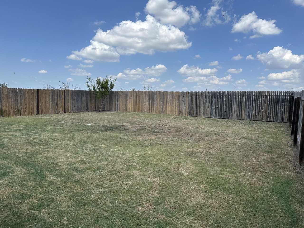 2273 Lighthouse Dr - Photo 7 of 23
