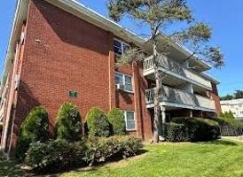 featured image of 130 Oakwood Ave #3M