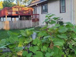 featured image of 933 Woodbridge St