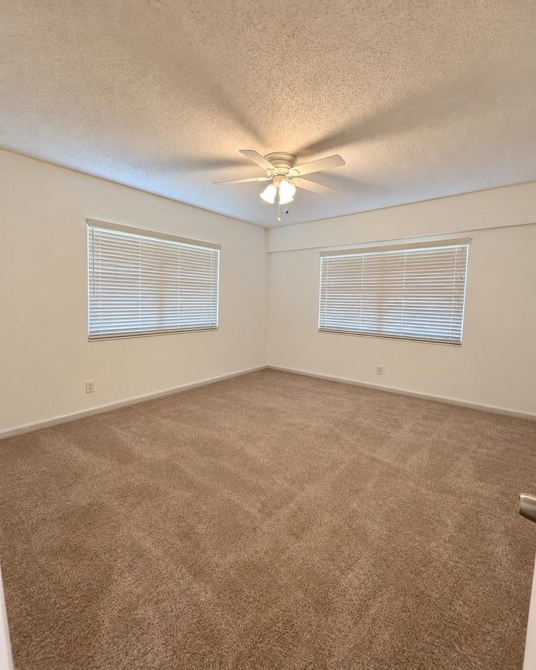 164 Mansfield D - Photo 6 of 13