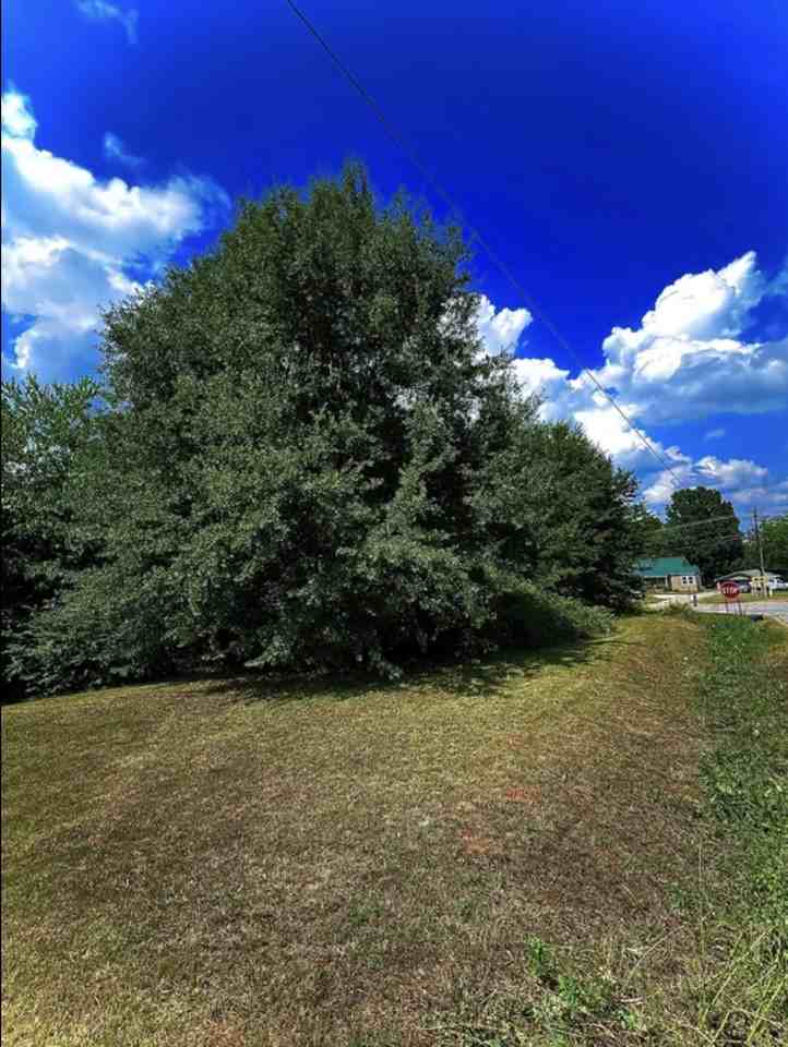 367 E Reedy Fork Rd #NA - Photo 4 of 40