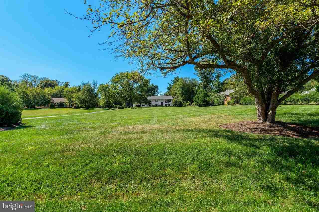 4570 Lawnvale Dr - Photo 2 of 34