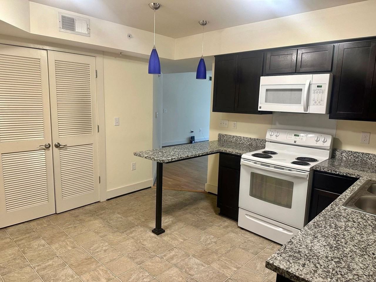 1029 Wertland Street - Photo 3 of 36