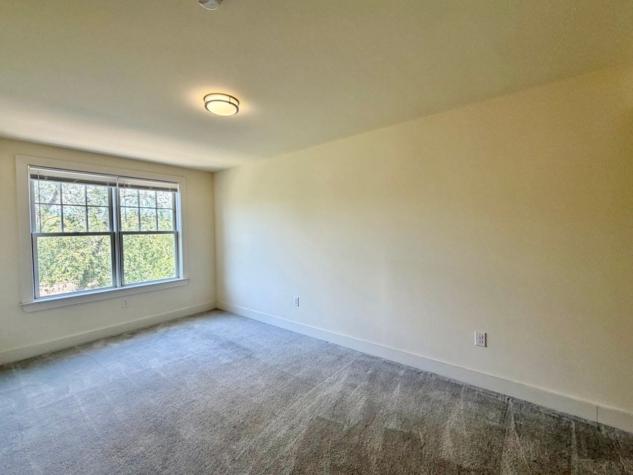 1029 Wertland Street - Photo 5 of 36