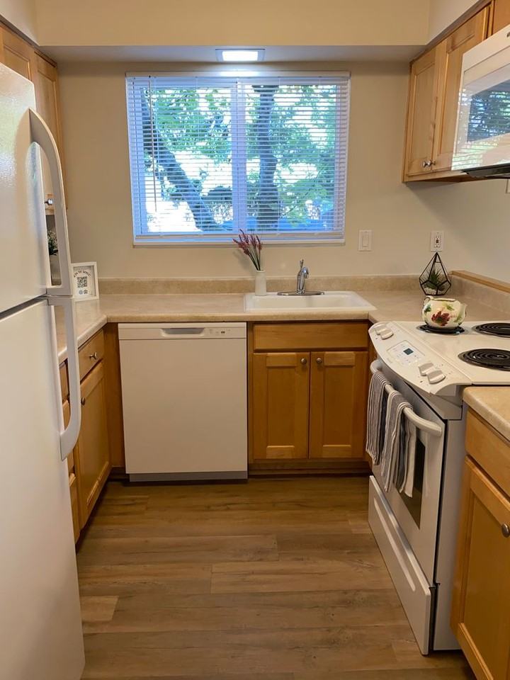 Spacious 2 - Photo 5 of 25