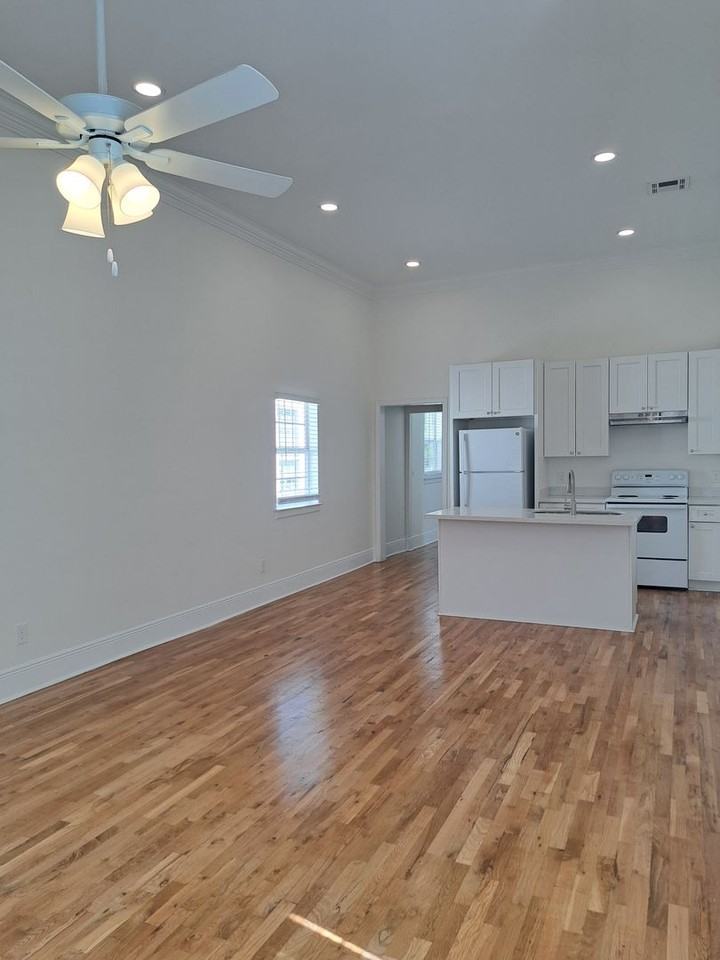 226 S Dorgenois St - Photo 4 of 14