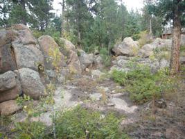 featured image of 12345 Bear Haven Rd