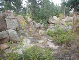 12345 Bear Haven Rd - Photo 1 of 1