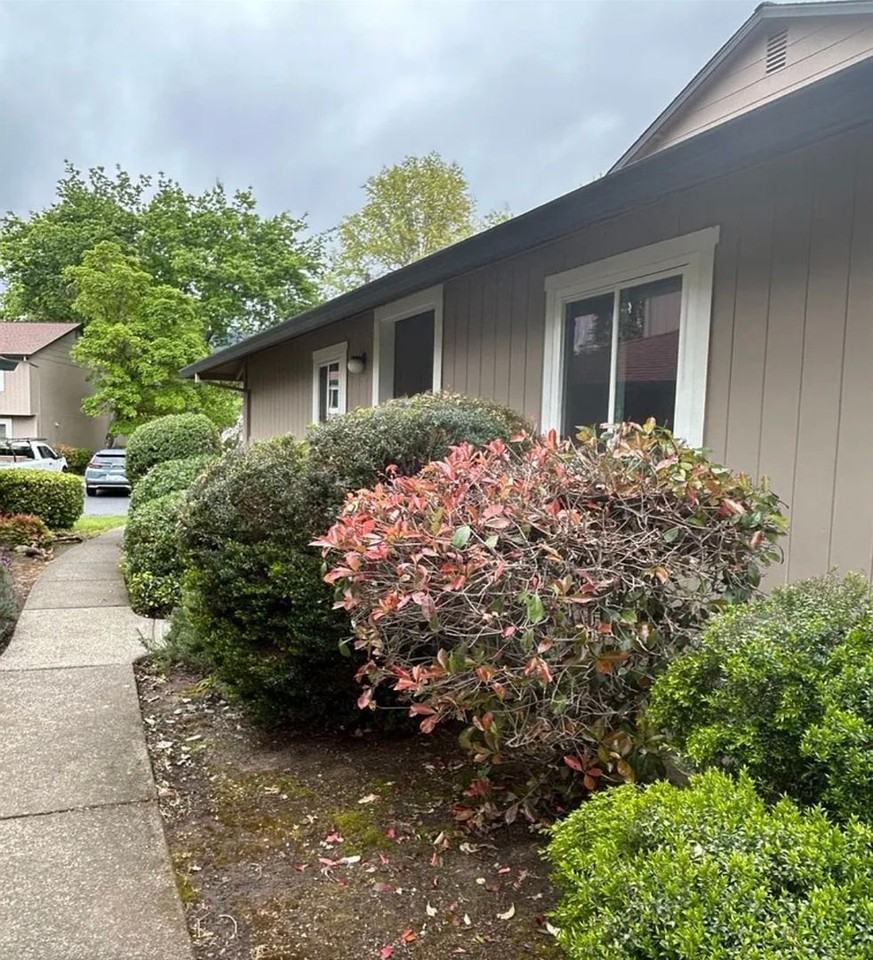 311 Algiers Ct - Photo 2 of 12
