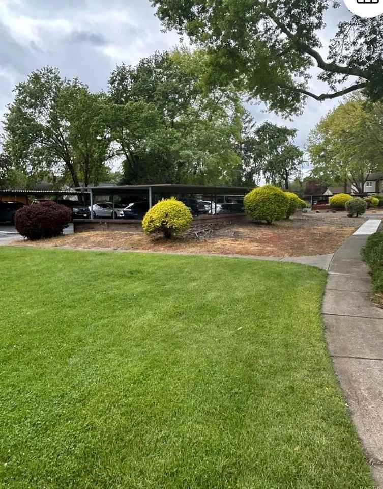 311 Algiers Ct - Photo 4 of 12