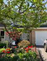 featured image of 307 Fawn Rdg N #307