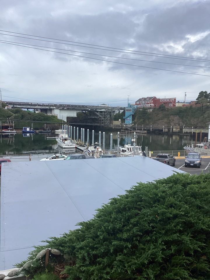 260 Se Coast Guard Dr #1 - Photo 5 of 14