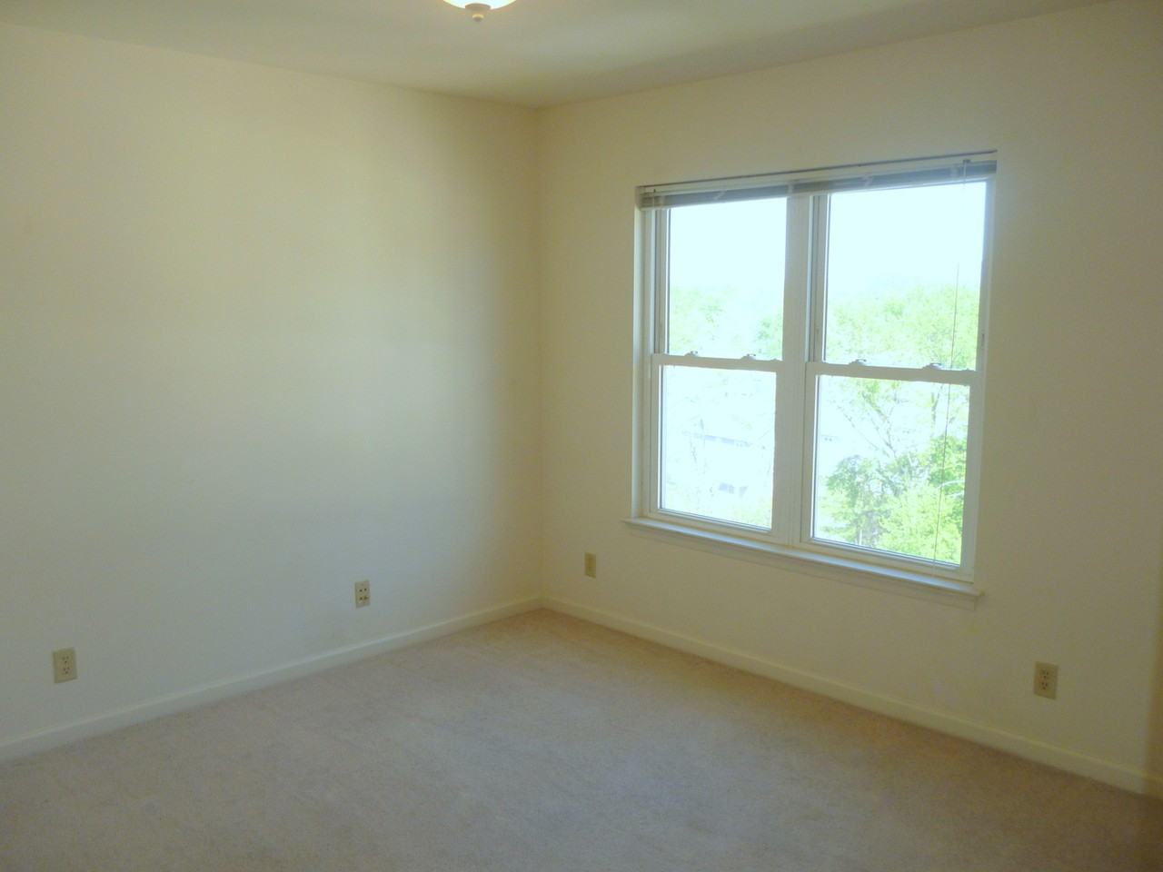 1027 Wertland Street - Photo 4 of 12