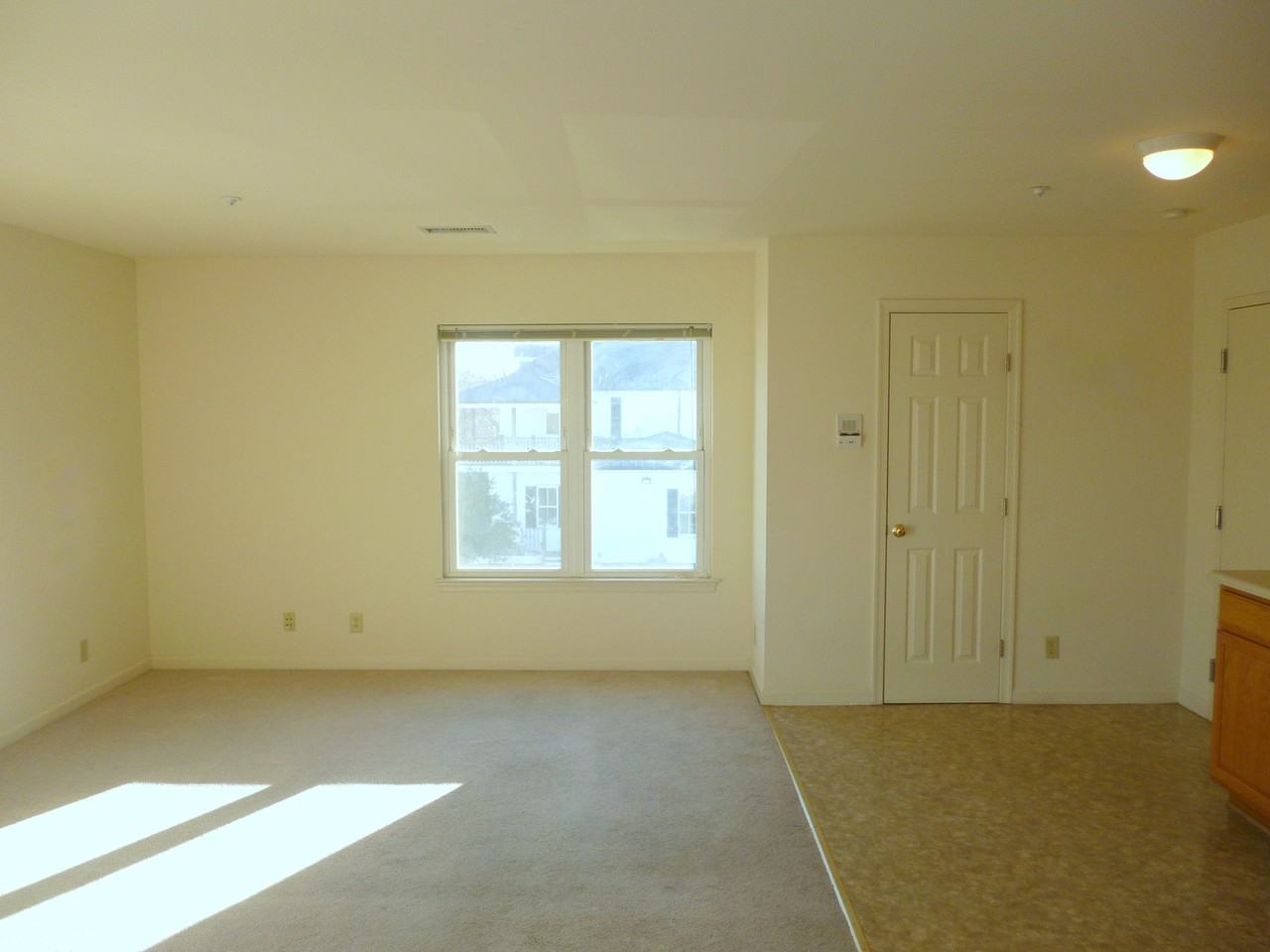 1027 Wertland Street - Photo 5 of 12