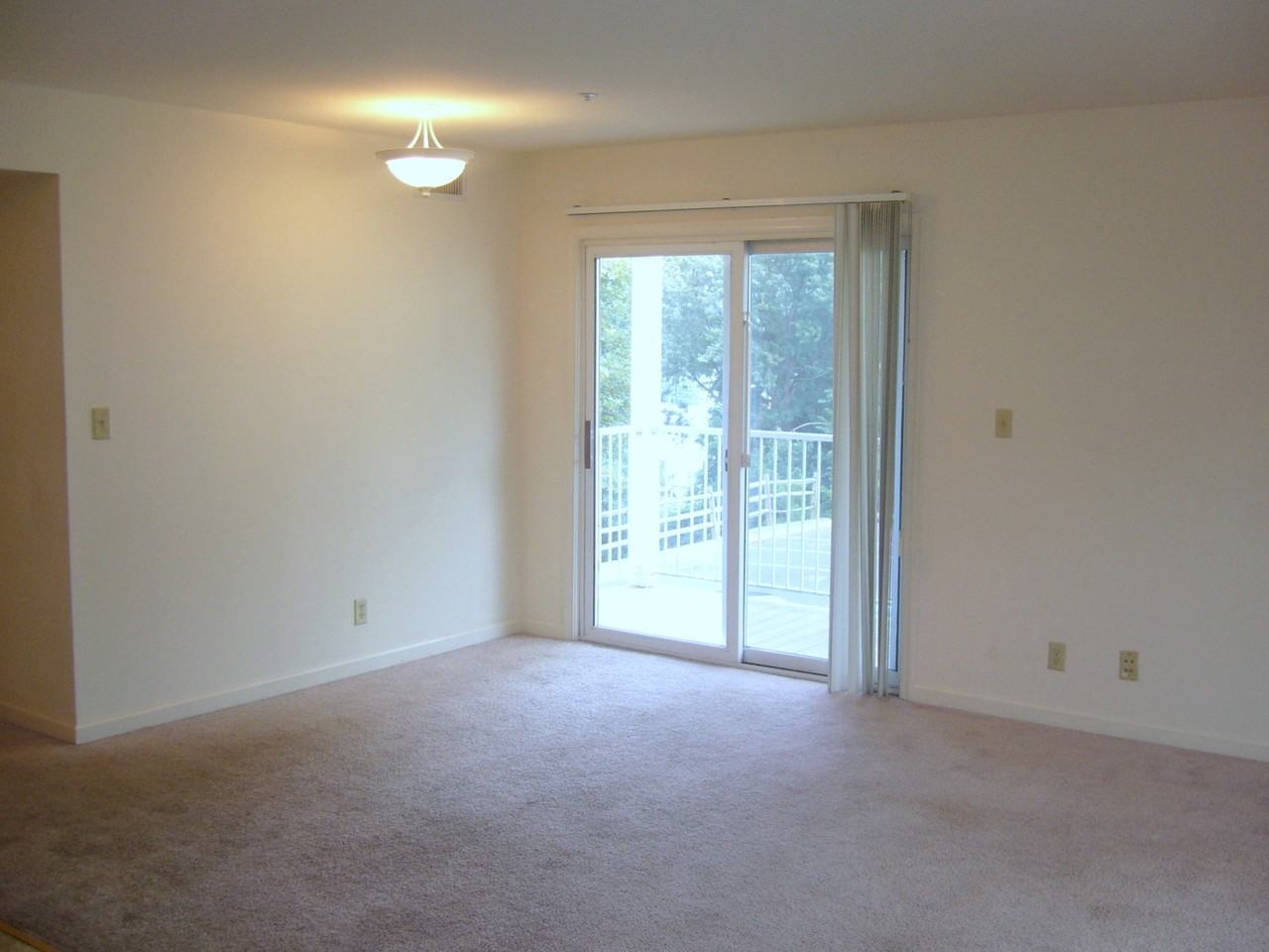 1027 Wertland Street - Photo 7 of 12