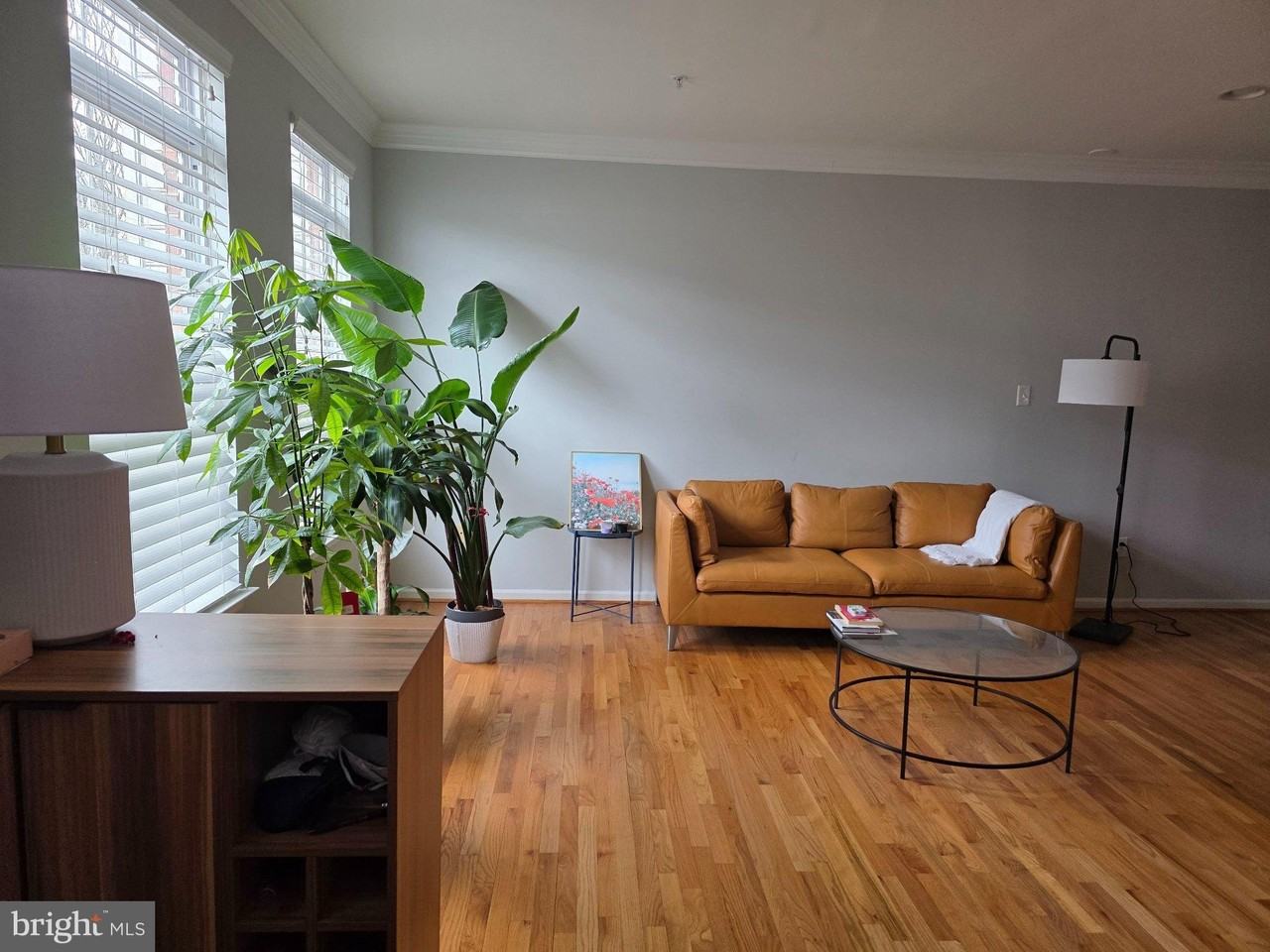 13442 Ansel Ter - Photo 3 of 21