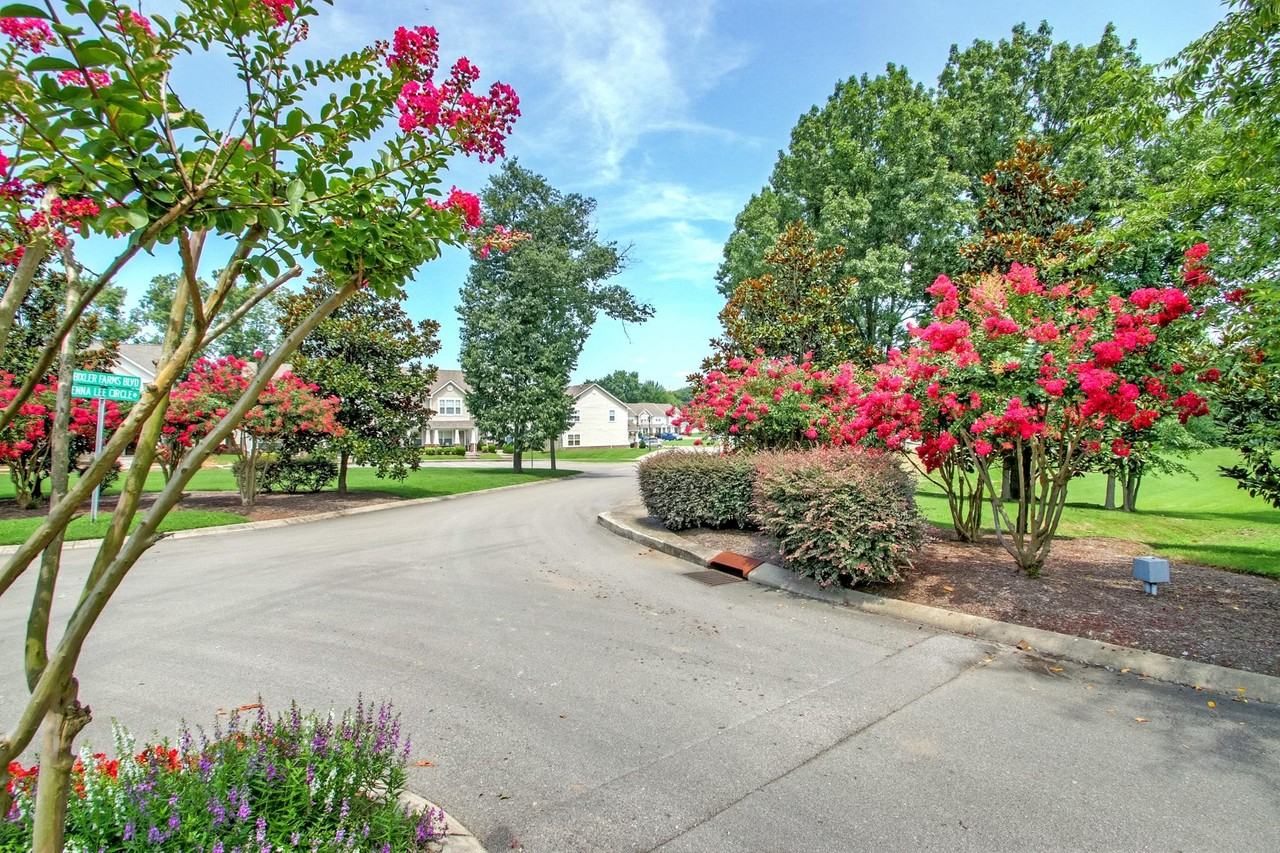 256 Jenna Lee Cir - Photo 4 of 20