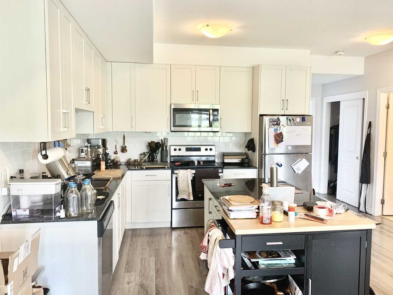 1005 Terra Verde Way - Photo 3 of 30