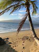 featured image of 18 Kai Makani Loop #202