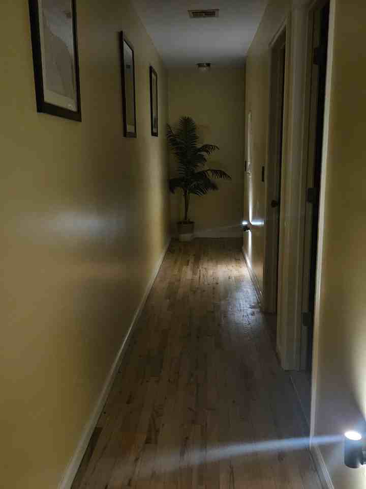 21 Orient Ave #2 - Photo 6 of 18