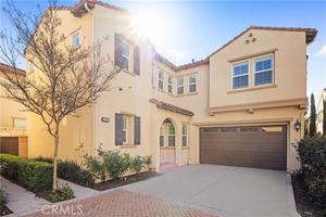 featured image of 15 Torosa