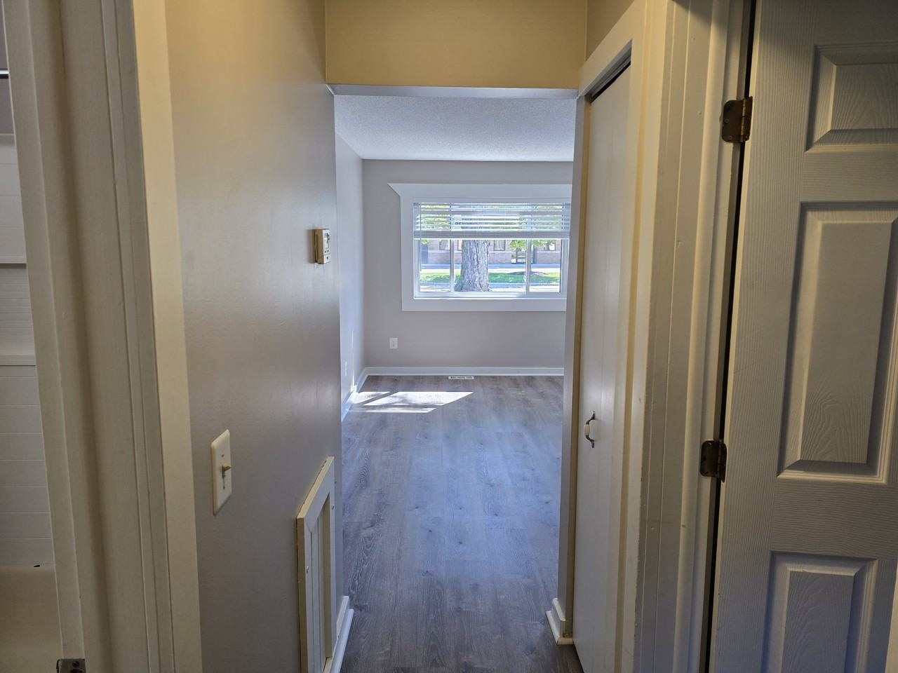 50 S Rose St #1 - Photo 6 of 11