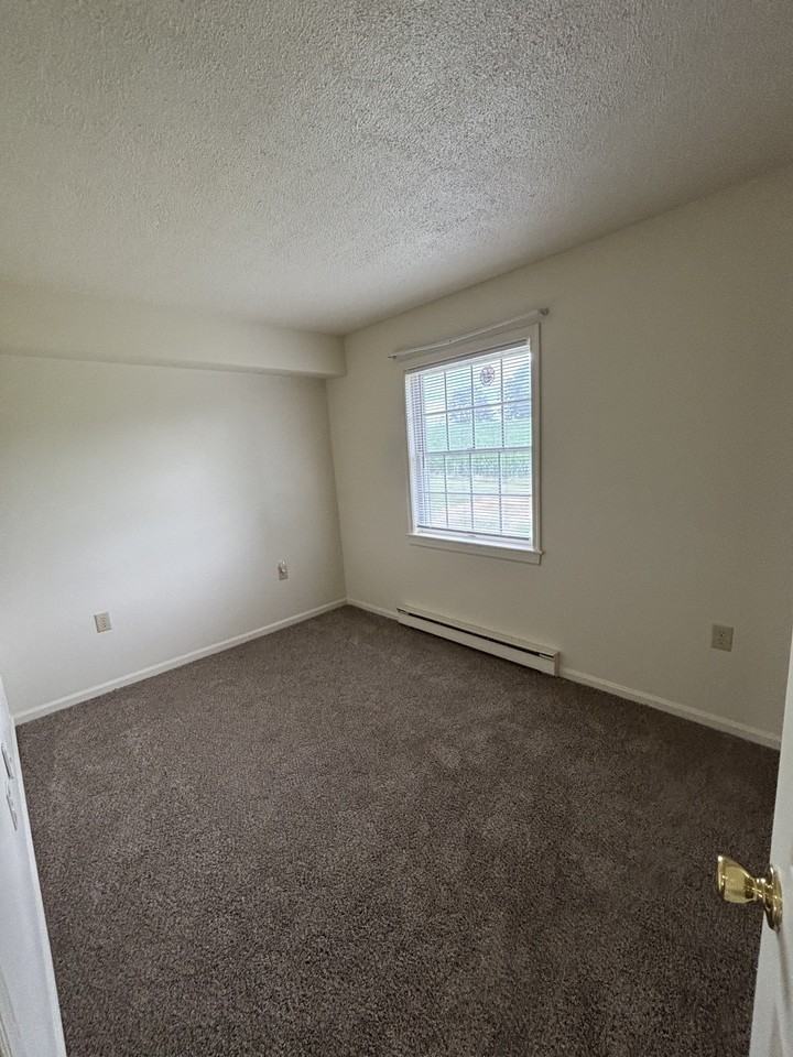Washington Meadows Lane - Photo 5 of 5
