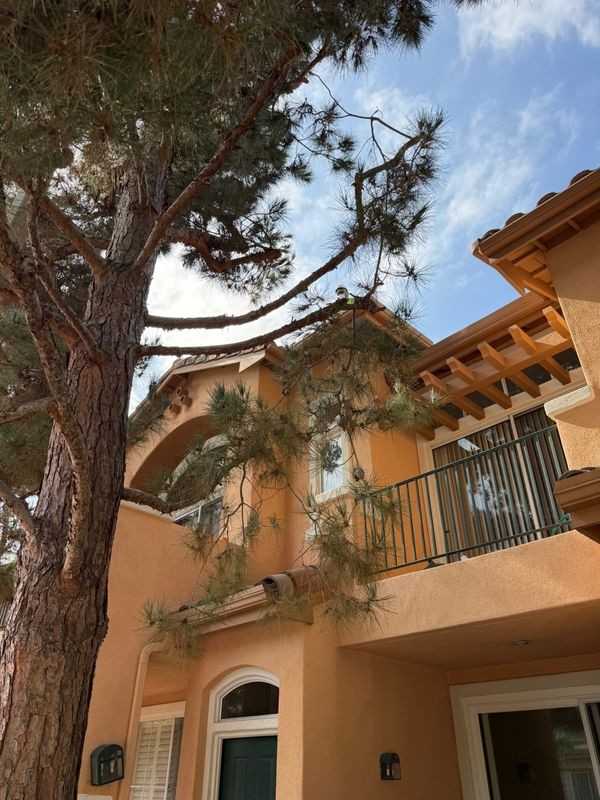 2203 Ladrillo Aisle - Photo 3 of 8