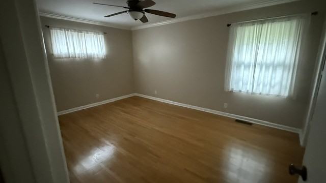 835 Rodney Dr #NA - Photo 7 of 11
