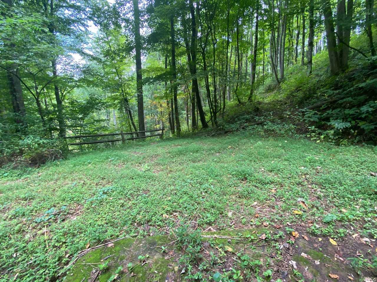 245 E View Rd - Photo 4 of 13