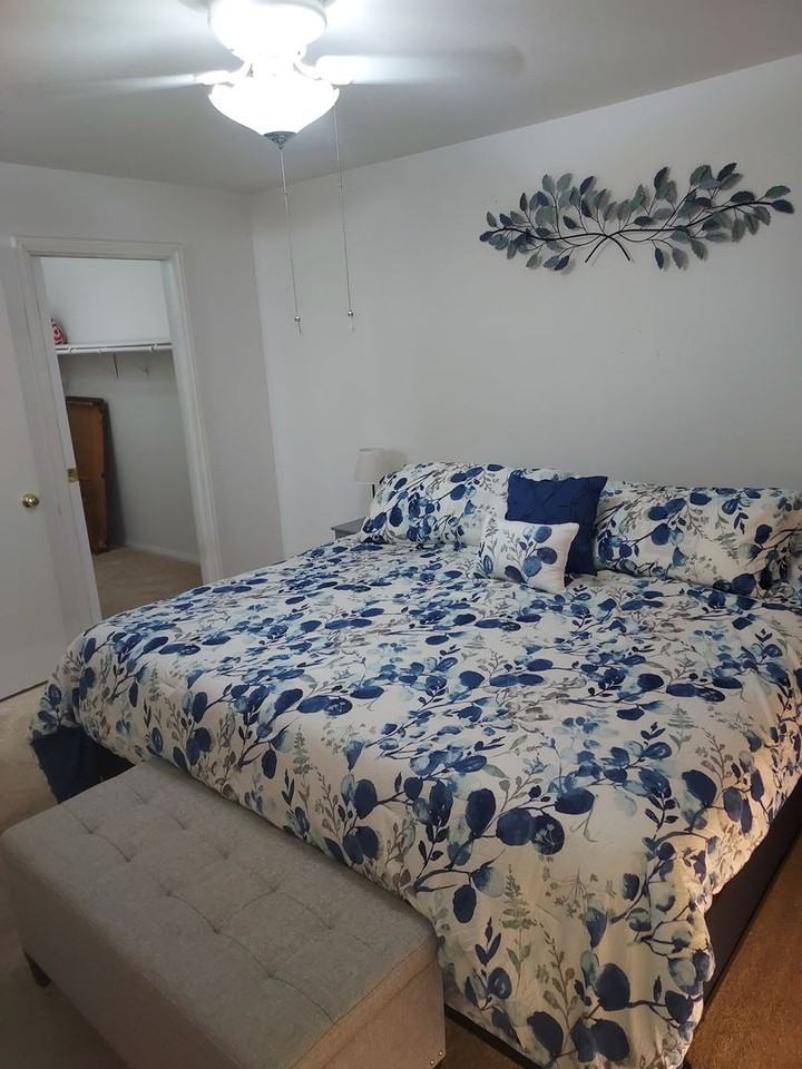 1904 1904 LAS PALMAS 103 - Photo 2 of 14