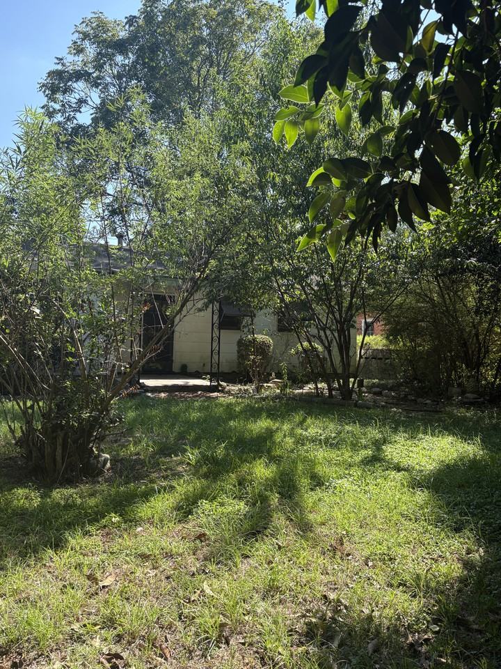 227 E Vandiver Blvd - Photo 3 of 11