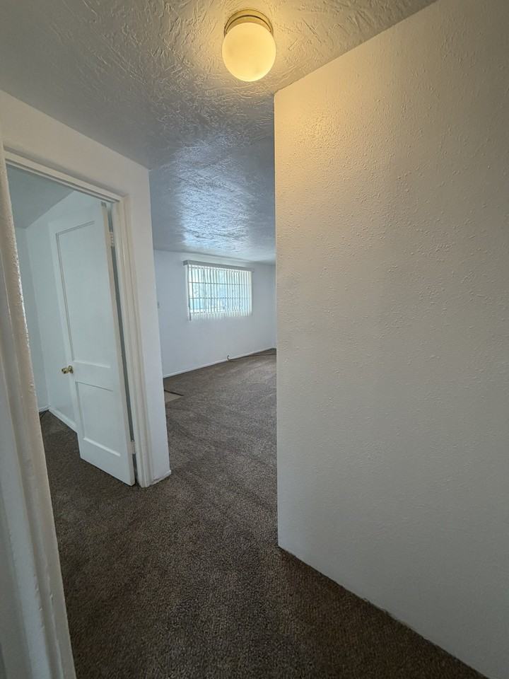 Solano_2842 #1 - Photo 4 of 20