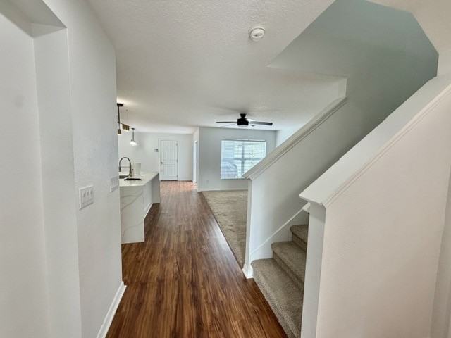 12621 Tanja King Blvd #1 - Photo 4 of 18