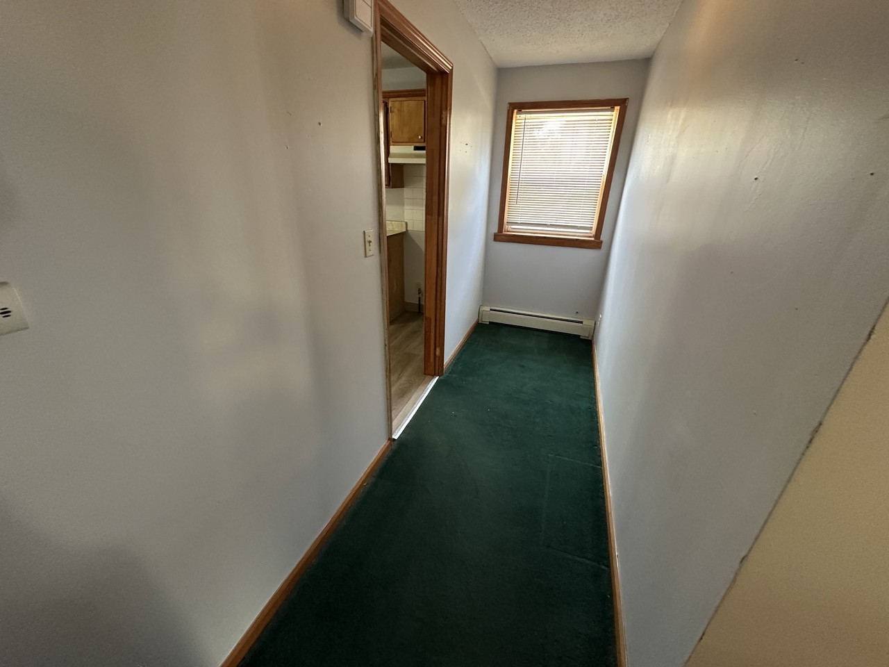 119 Ludington St Lowr - Photo 6 of 12