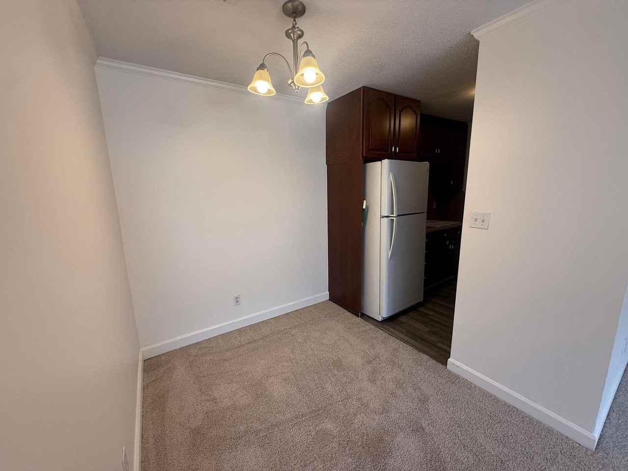 1110 Chandler Dr #101 - Photo 4 of 12