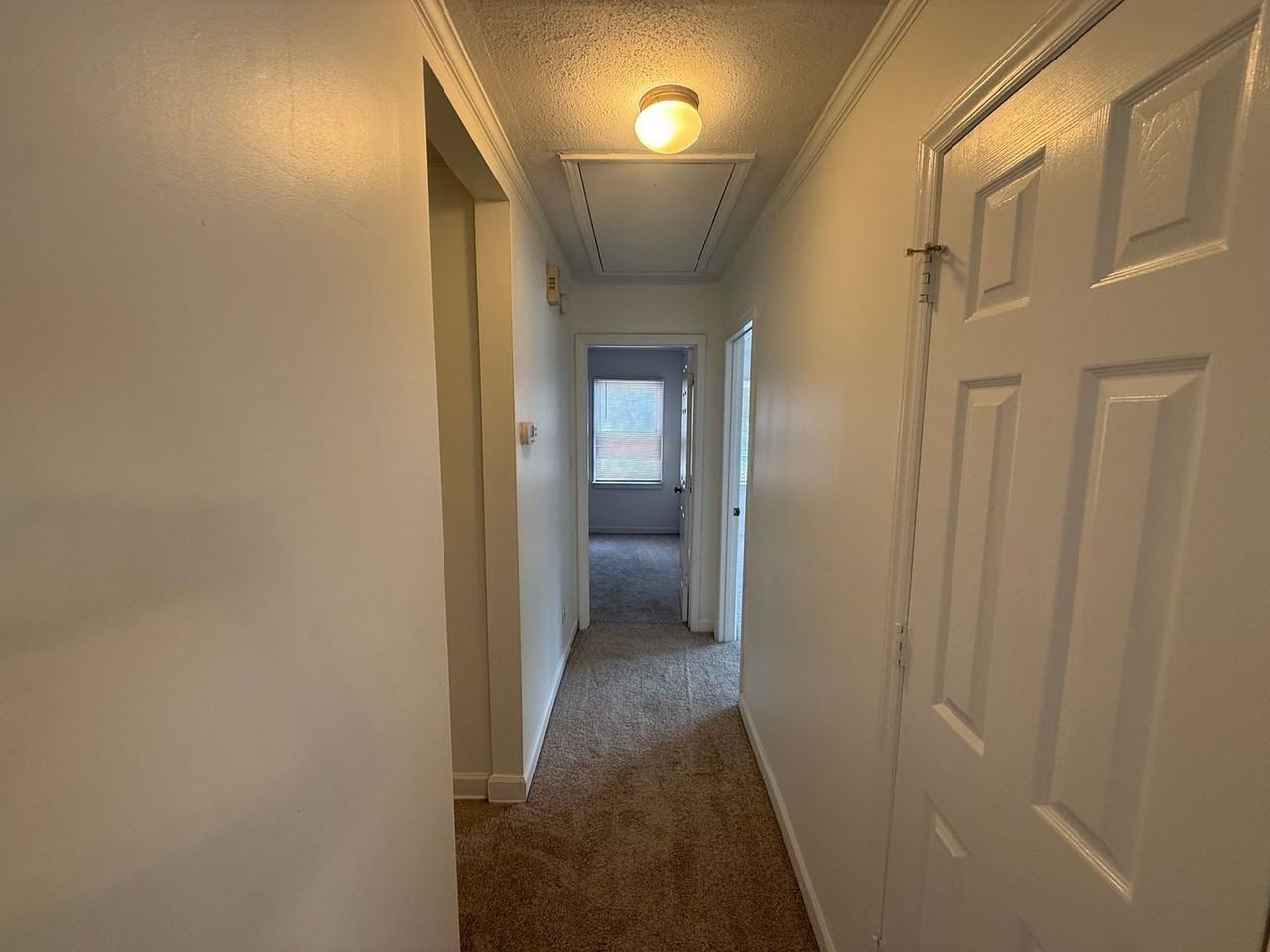 1110 Chandler Dr #101 - Photo 6 of 12