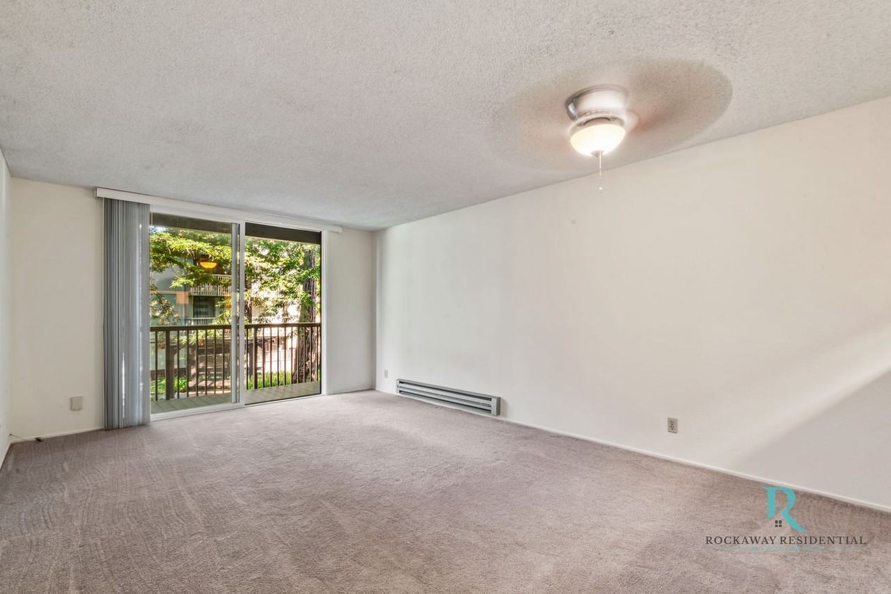 2206 Shelter Creek Ln - Photo 3 of 45
